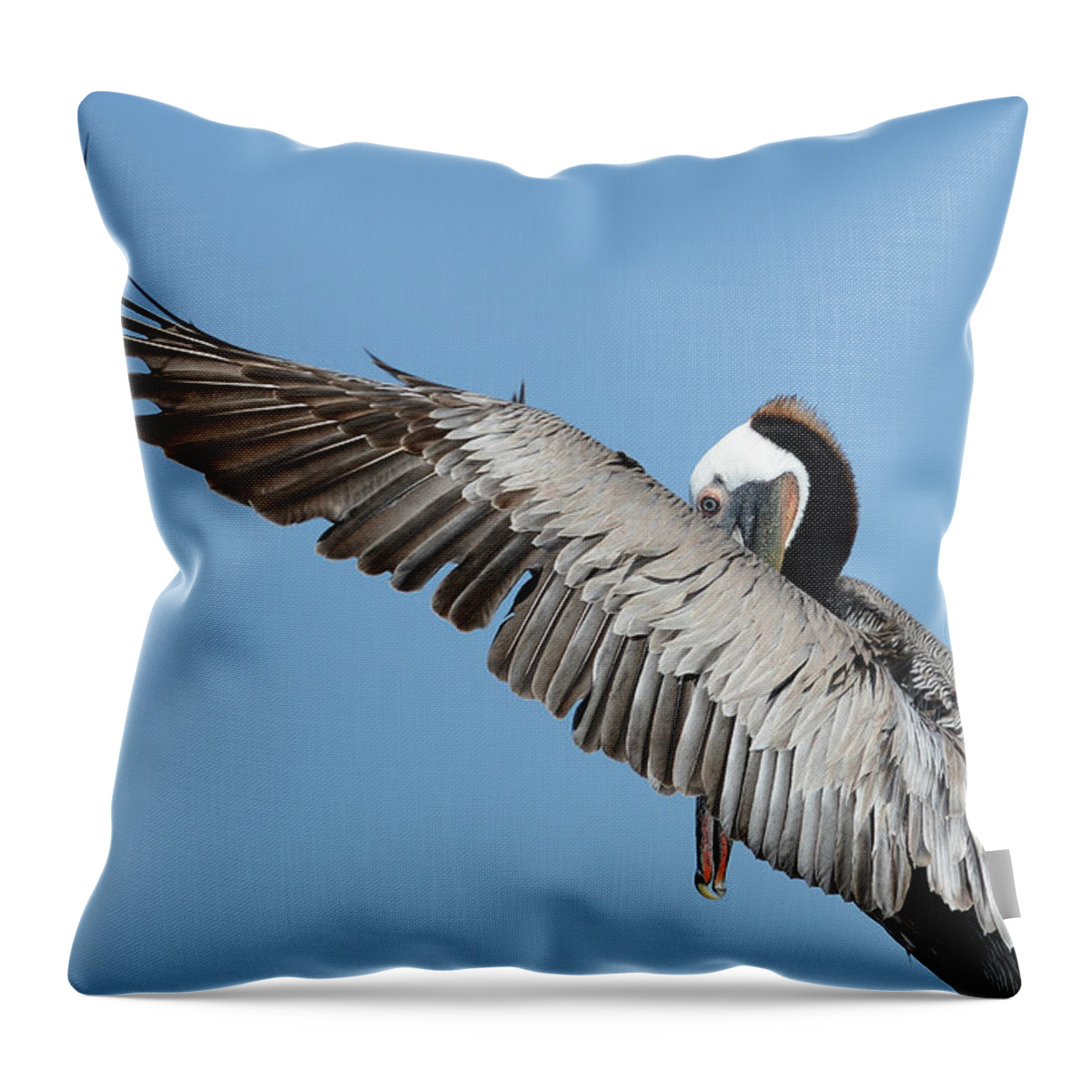 Brown Pelican Throw Pillow featuring the photograph Peeking Through #3 by Fraida Gutovich