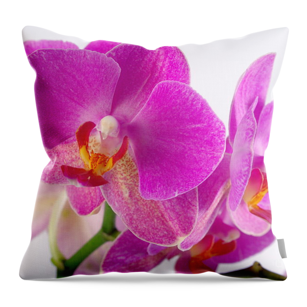 Orchid Throw Pillow featuring the photograph Pink Orchid #1 by Dariusz Gudowicz