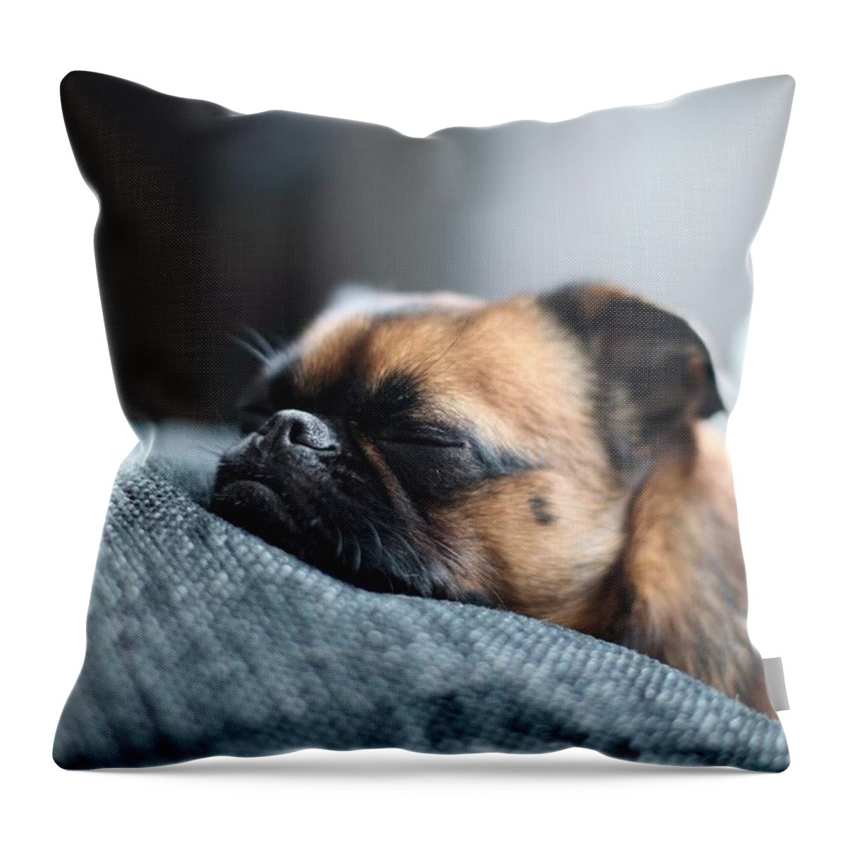 Puppy Throw Pillow featuring the photograph Puppy #3 by Jackie Russo