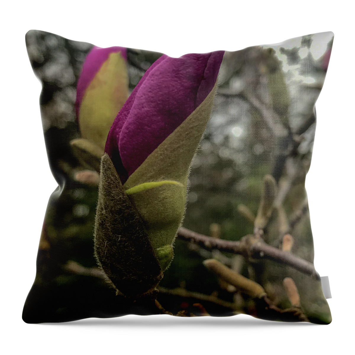 Michigan Throw Pillow featuring the photograph Ready #3 by Joseph Yarbrough