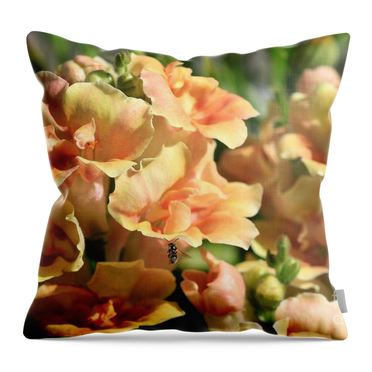 Mccombie Throw Pillow featuring the photograph Snapdragon named Twinny Peach #2 by J McCombie