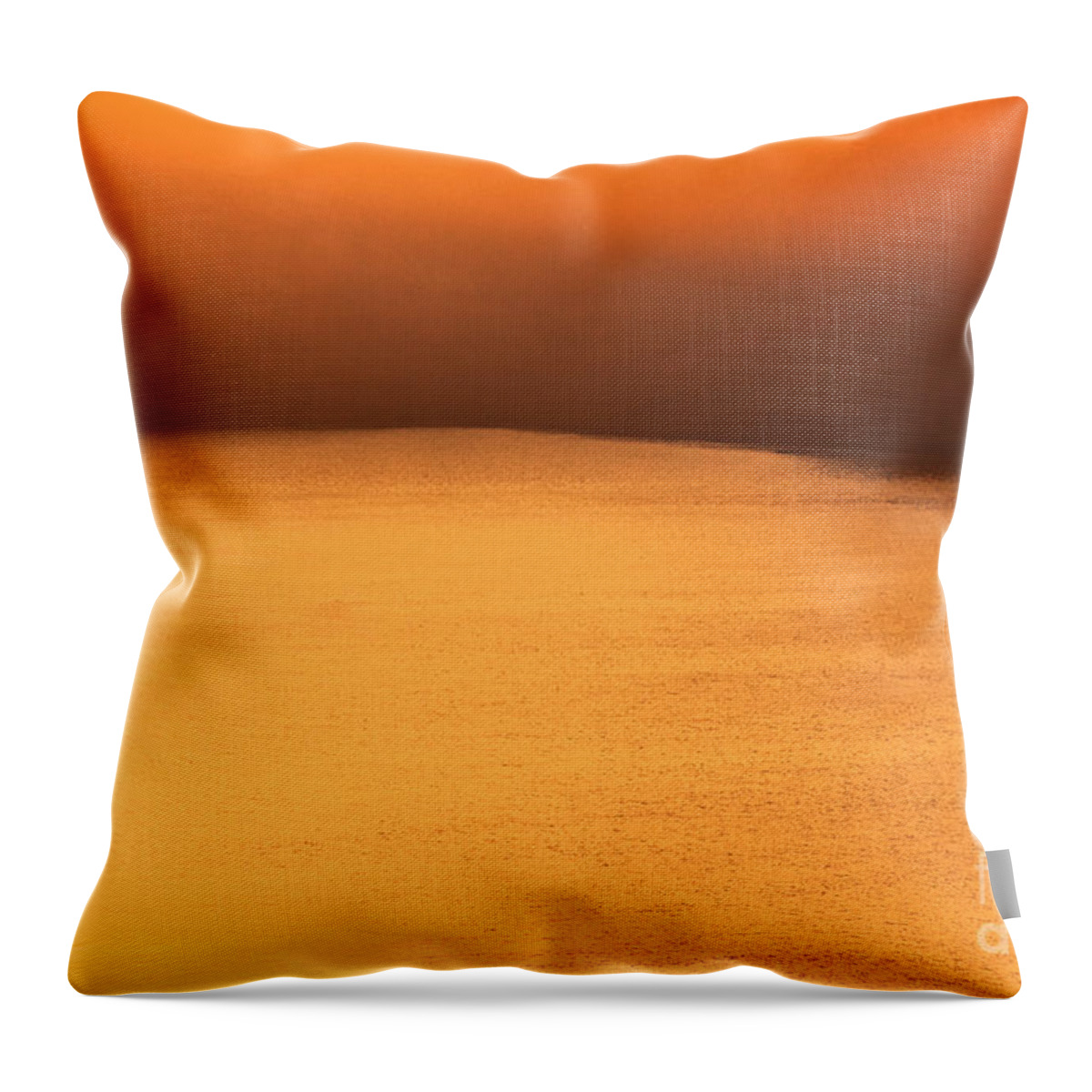 Outdoor Throw Pillow featuring the photograph Solitude #1 by Nilesh Bhange