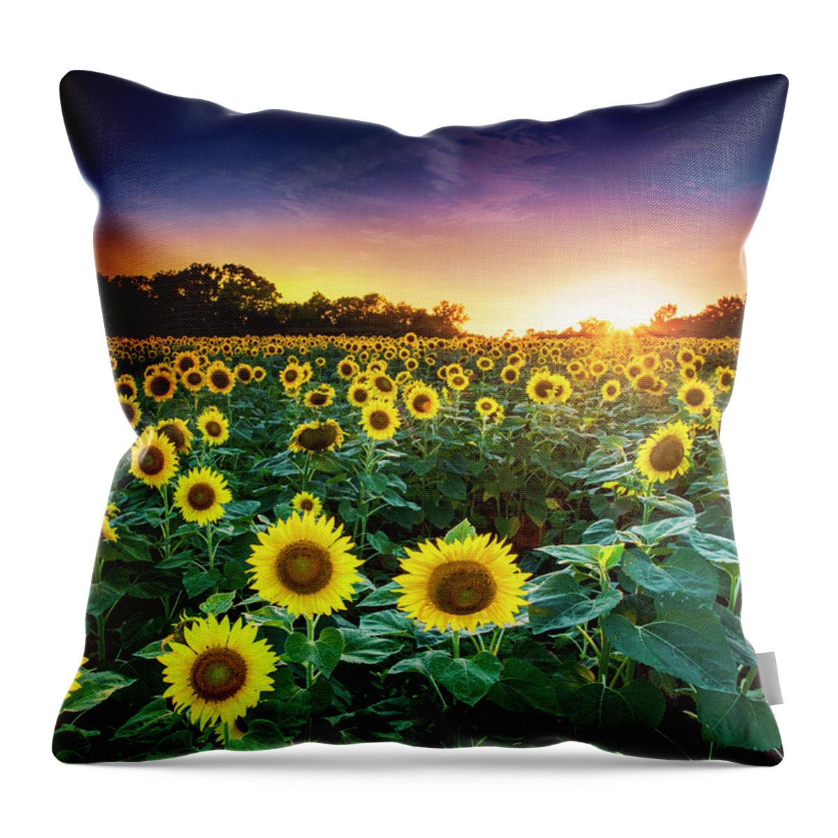 Sunset Throw Pillow featuring the photograph 3 Suns by Edward Kreis