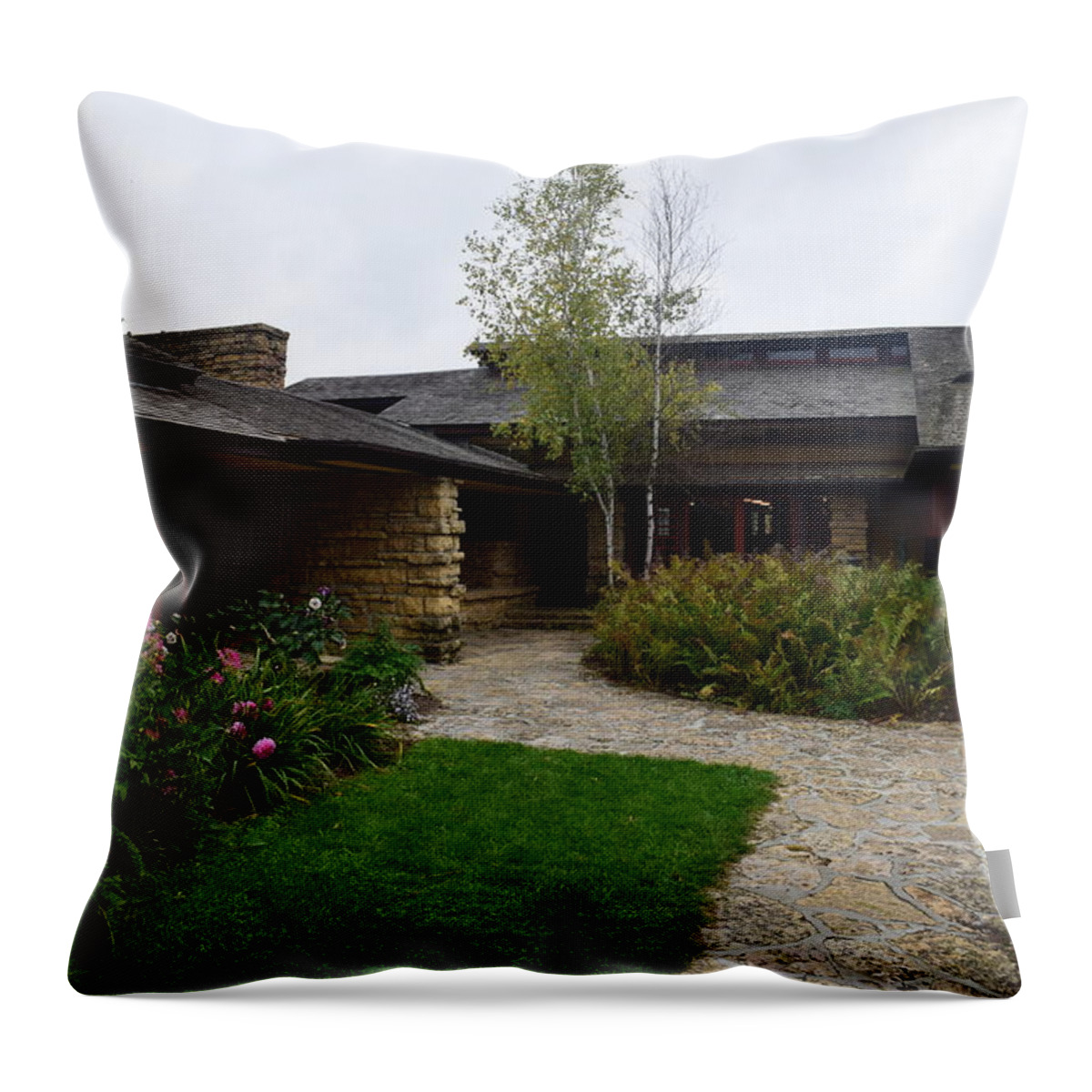 Frank Throw Pillow featuring the photograph Taliesin #3 by Curtis Krusie