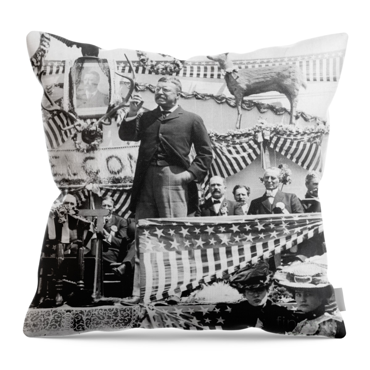 History Throw Pillow featuring the photograph Theodore Roosevelt, 26th American #3 by Photo Researchers