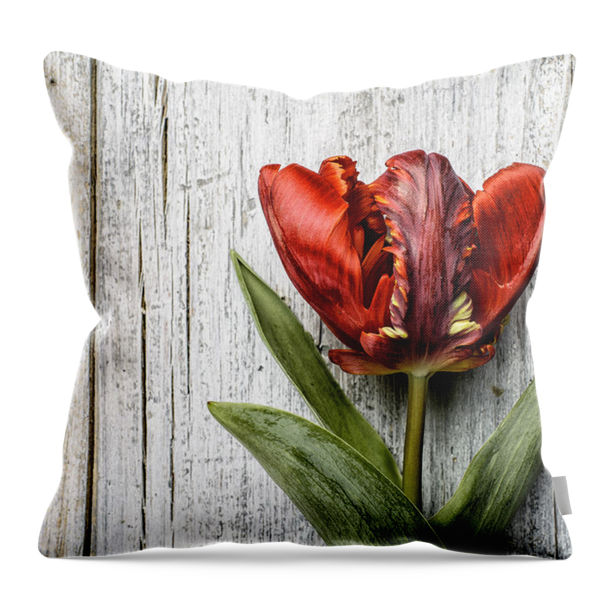Tulip Throw Pillow featuring the photograph Tulip #3 by Nailia Schwarz