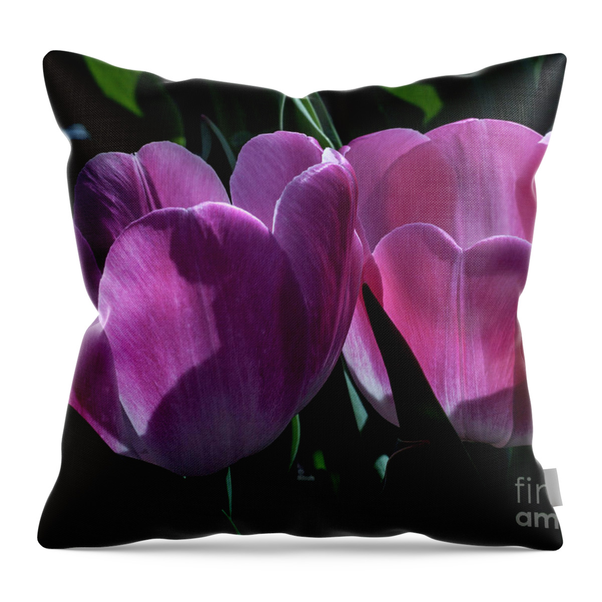 Pink Throw Pillow featuring the photograph Twins #4 by Doug Norkum