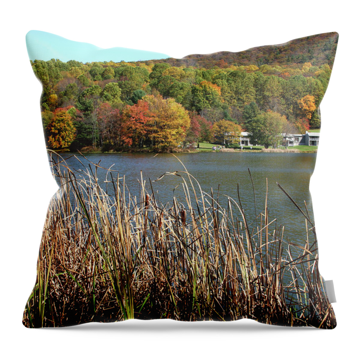 Lake Throw Pillow featuring the photograph View of Peaks of Otter lodge and Abbott Lake in autumn #3 by Emanuel Tanjala