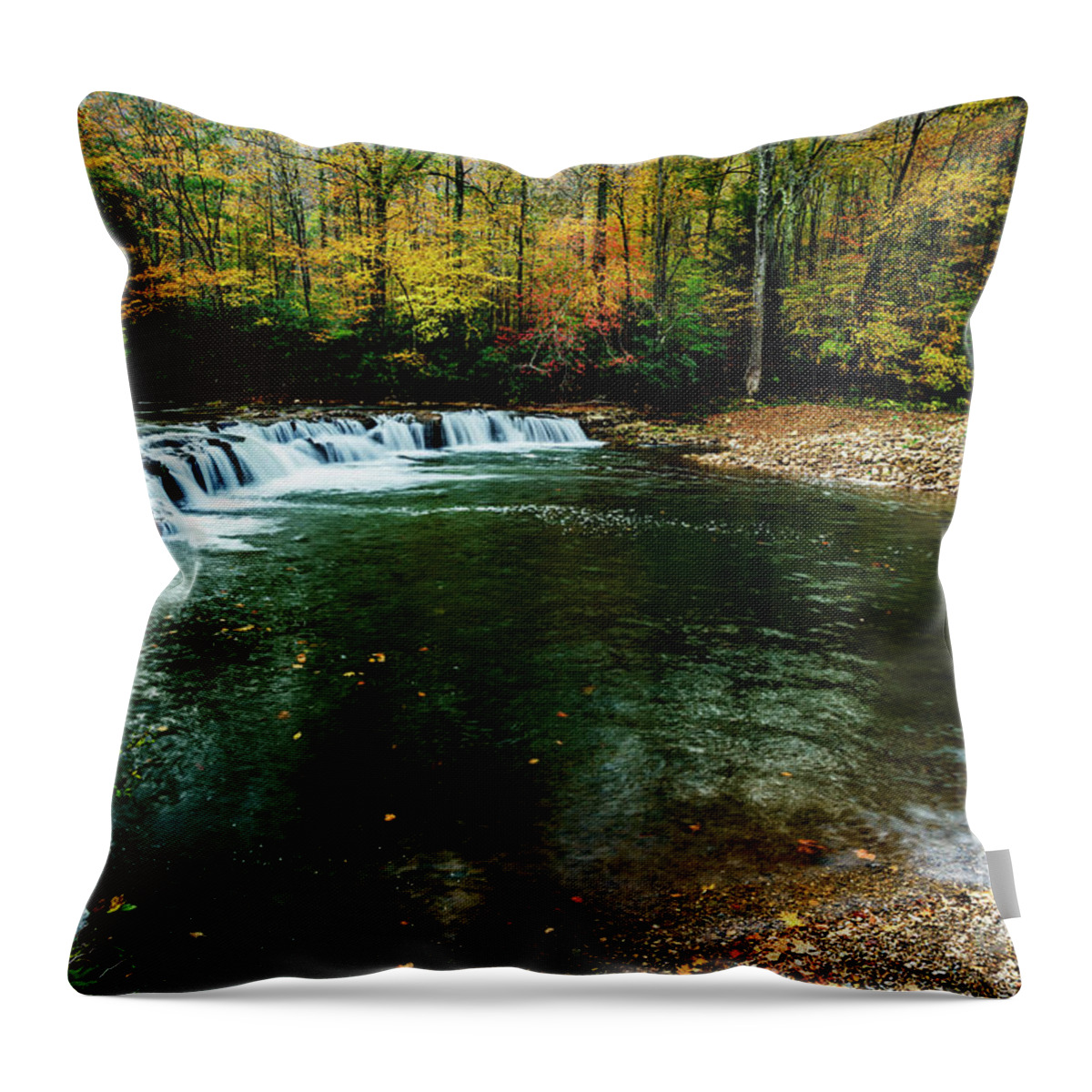 Whitaker Falls Throw Pillow featuring the photograph Whitaker Falls in Autumn #3 by Thomas R Fletcher