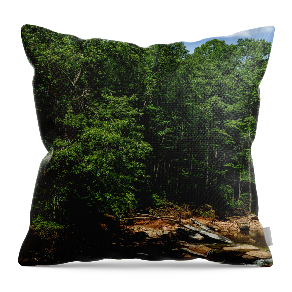 Williams River Throw Pillow featuring the photograph Williams River after the Flood #3 by Thomas R Fletcher