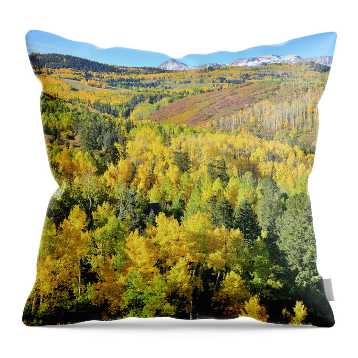 Colorado Throw Pillow featuring the photograph Wilson Mesa #3 by Ray Mathis