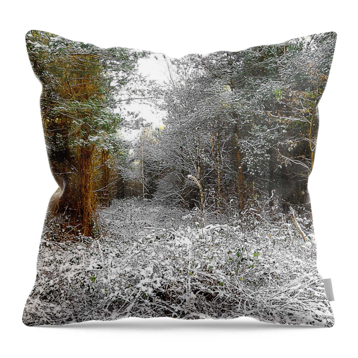 Abstract Throw Pillow featuring the digital art Winter Time #3 by Svetlana Sewell