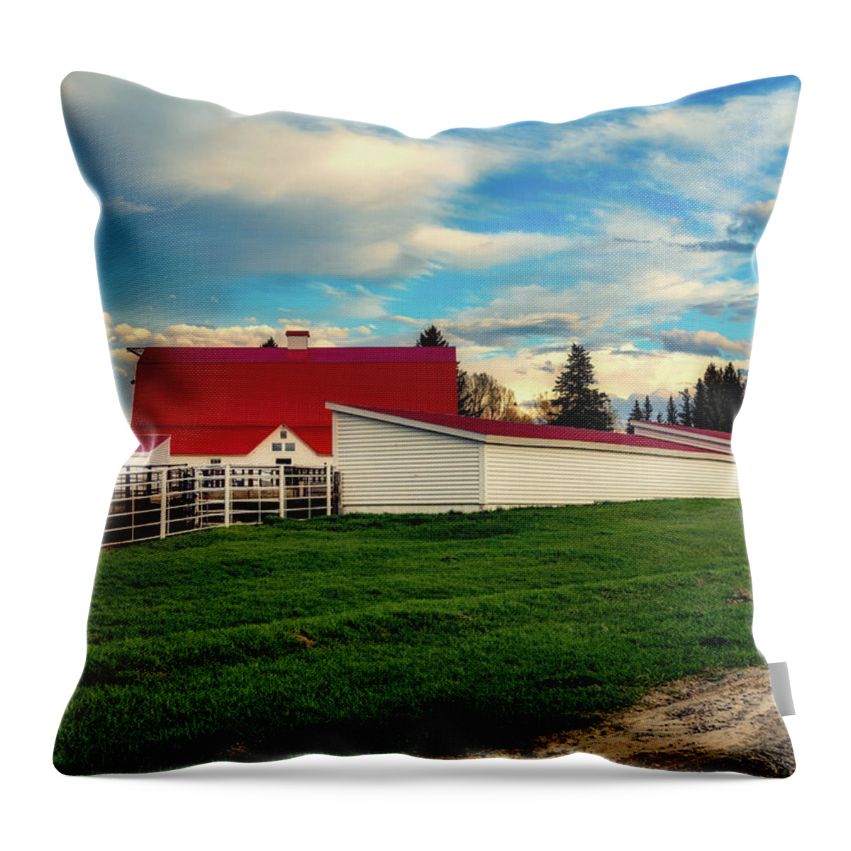 Wyoming Throw Pillow featuring the photograph Wyoming Ranch #3 by Mountain Dreams