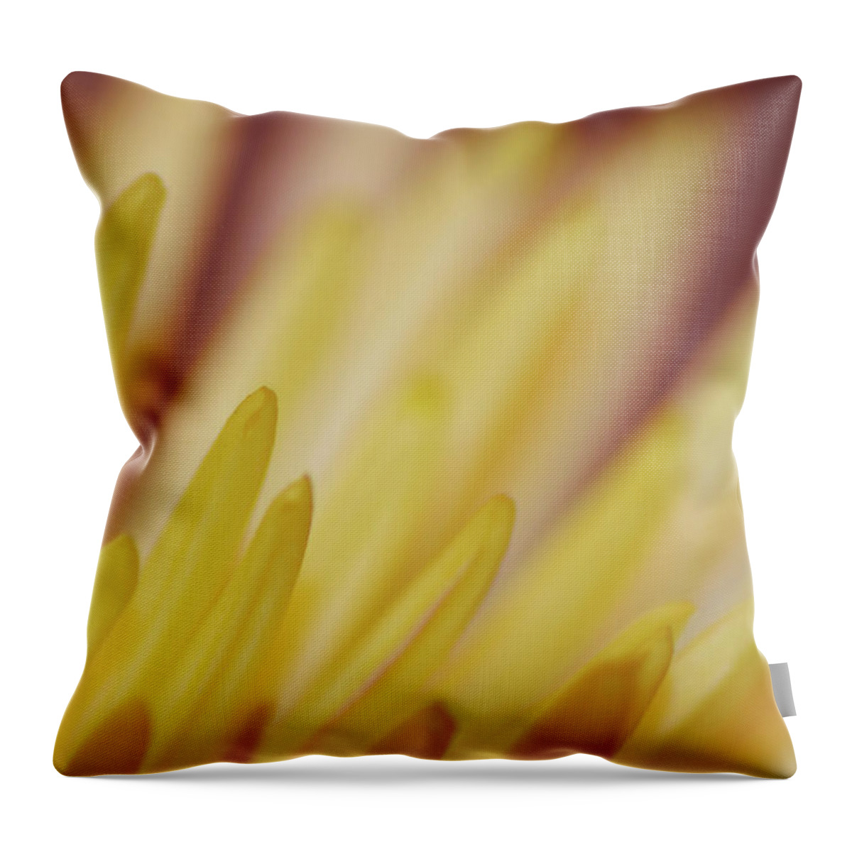 Photograph Throw Pillow featuring the photograph Yellow Mum Petals #3 by Larah McElroy