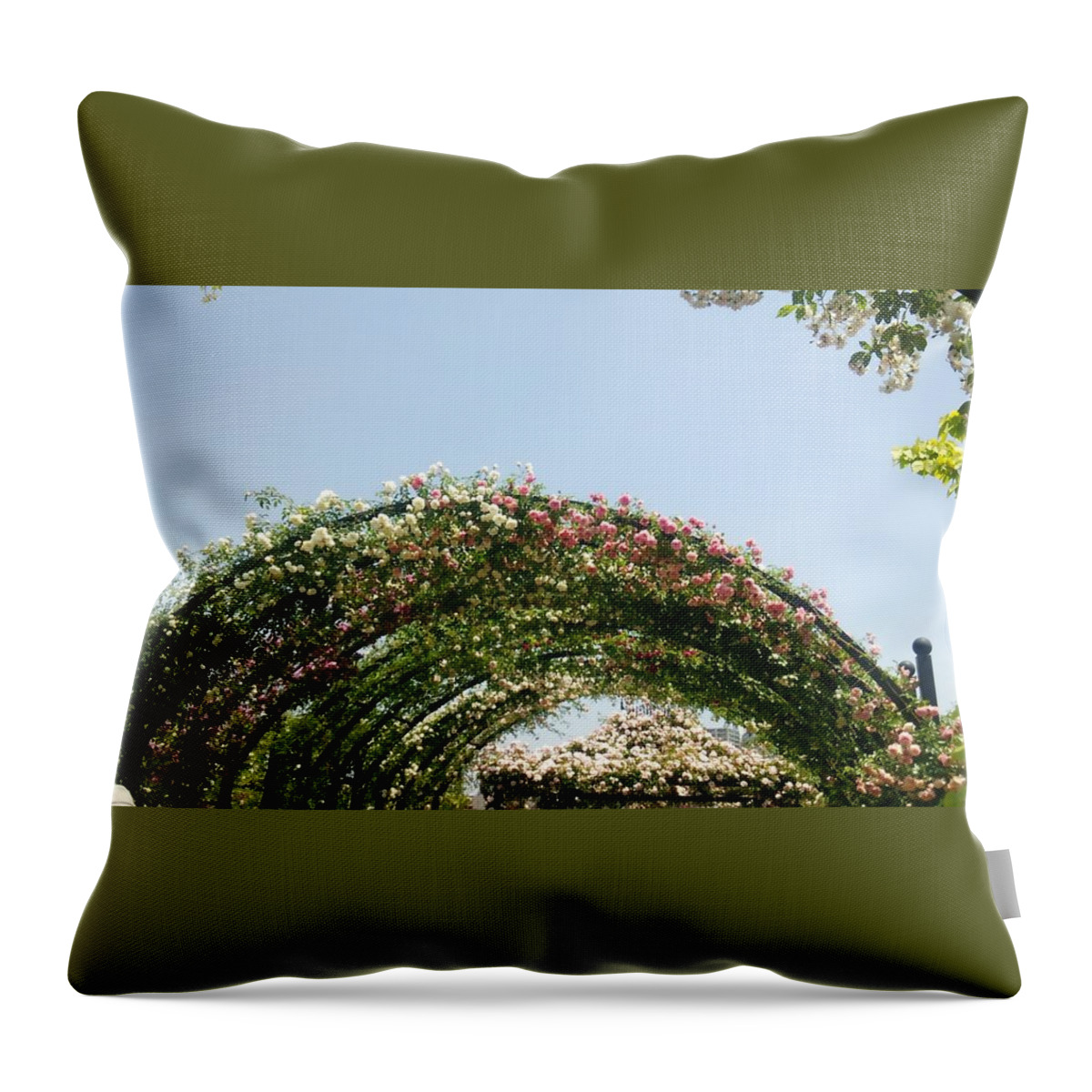 #flower#flowerloversdaily#flowerlover#green#flowerlovers#floral#rosa#pink#rose#petal#plant#blossom#photooftheday#floweroftheday#webstagram#naturestagram#flowerstagram#naturelover#naturelovers#naturehippys#naturehippy#flowers#yokohama#japan#kn#΂#o##l#{ Throw Pillow featuring the photograph Rose #30 by Tomoko Takigawa