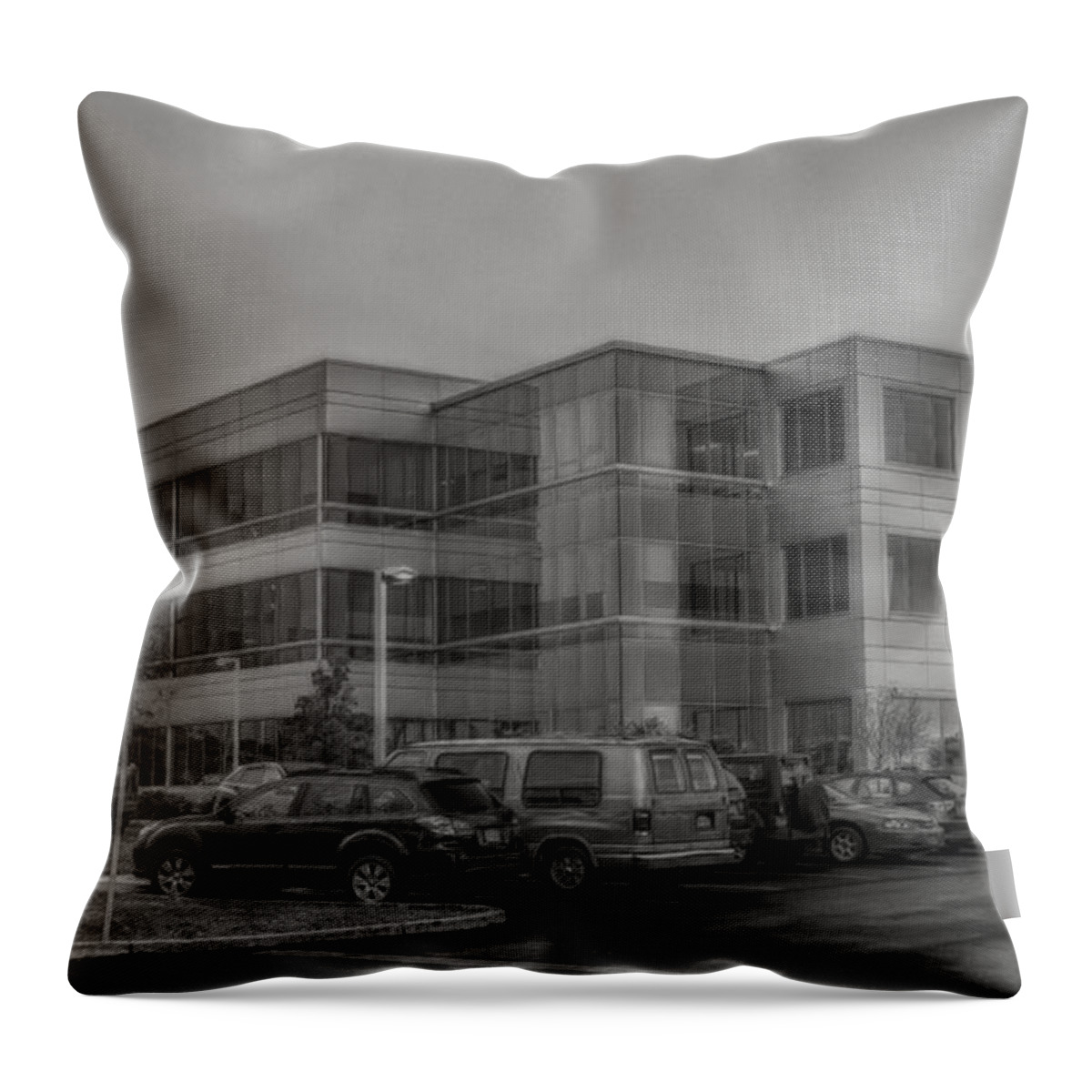 Buffalo Throw Pillow featuring the photograph 300 Airborne by Guy Whiteley