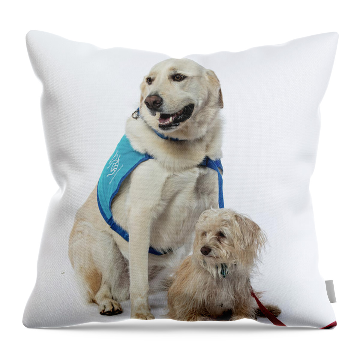 Therapet Throw Pillow featuring the photograph 3010.077 Therapet #3010077 by M K Miller