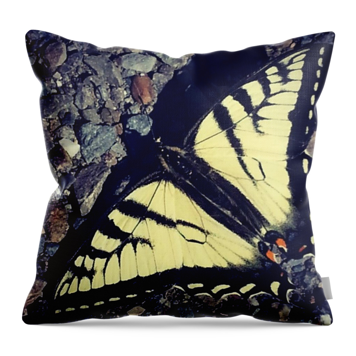 Still Throw Pillow featuring the photograph Butterfly by Lisa Amakye-Ansah