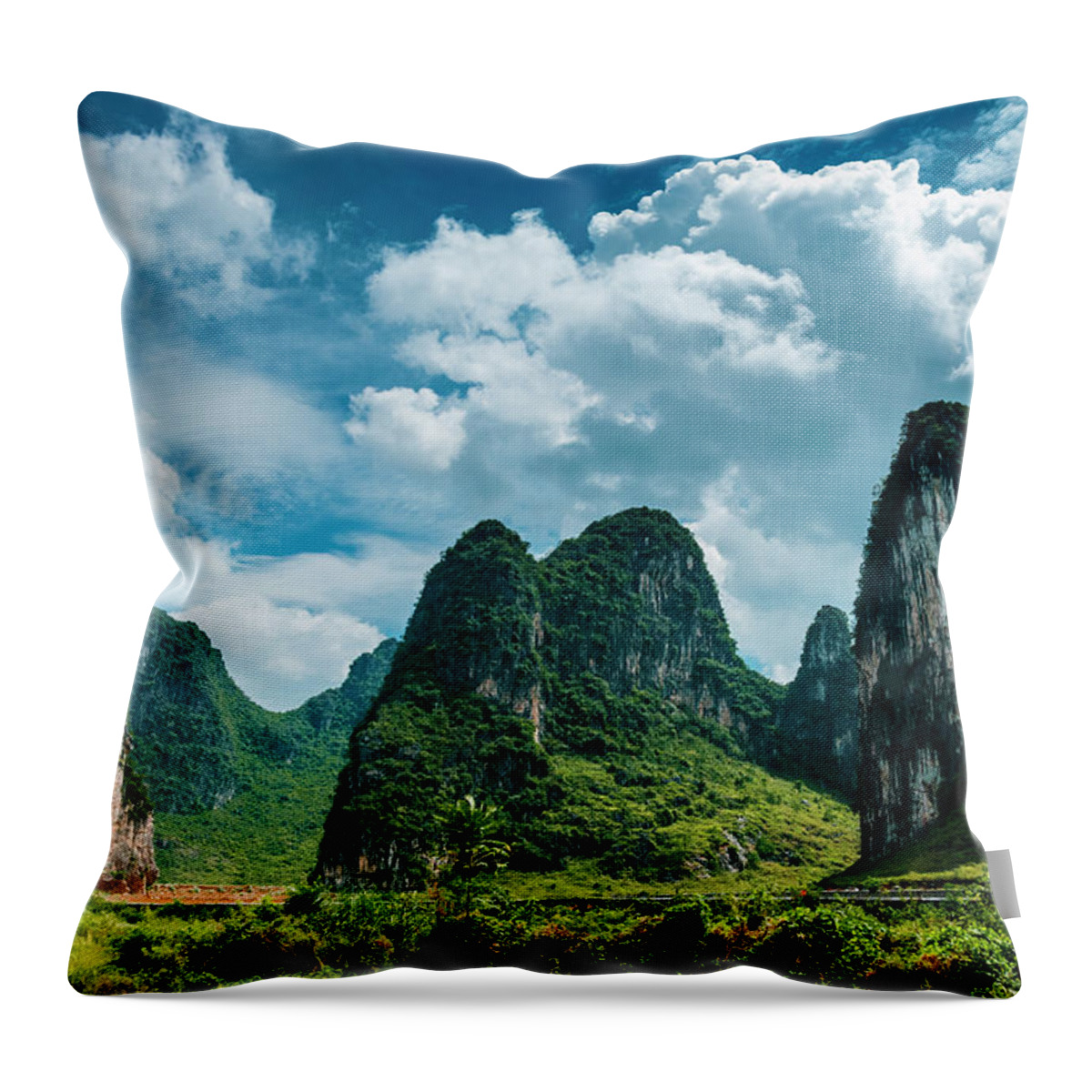 Karst Throw Pillow featuring the photograph Karst mountains and rural scenery #32 by Carl Ning