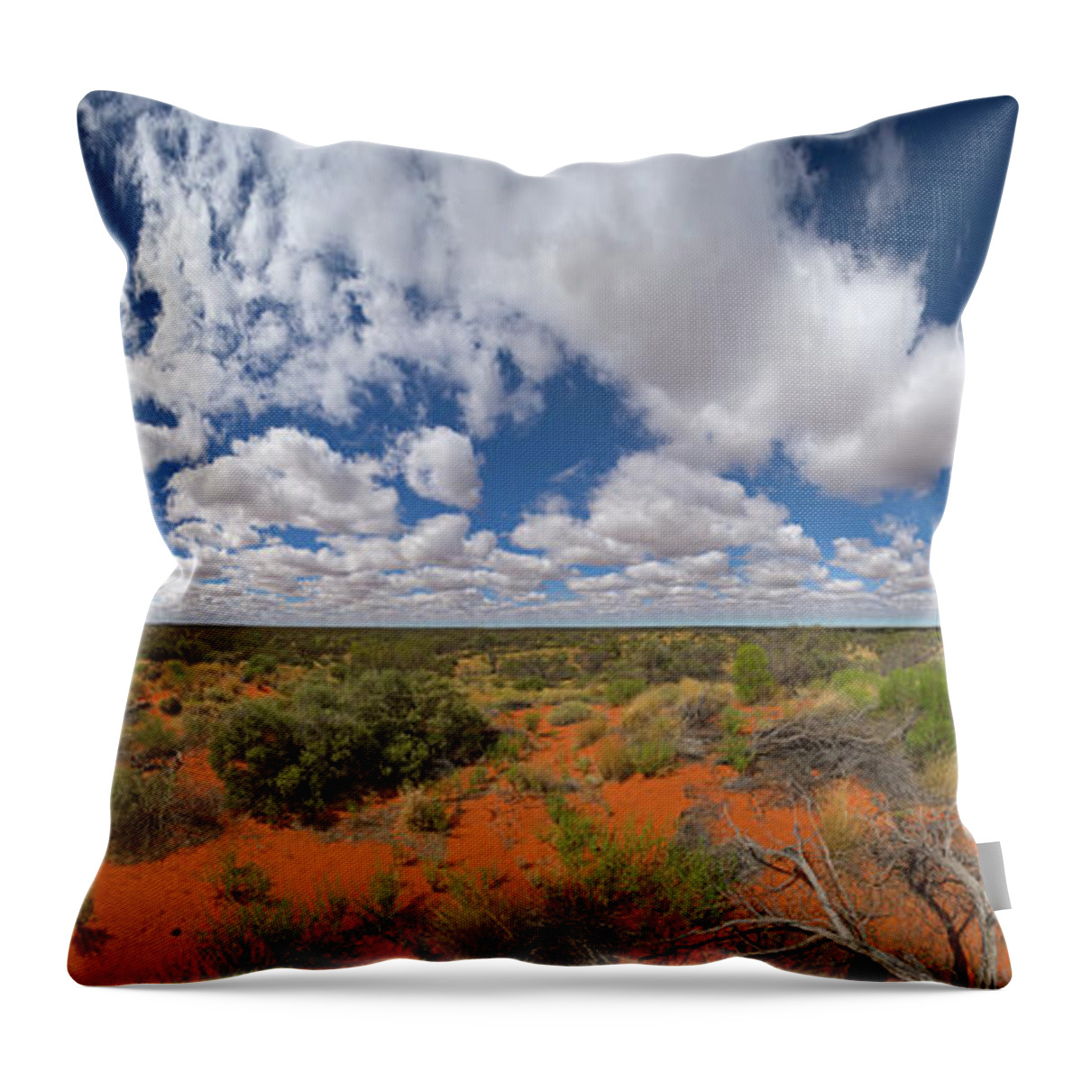 00477470 Throw Pillow featuring the photograph 360 of Clouds over Desert by Yva Momatiuk John Eastcott