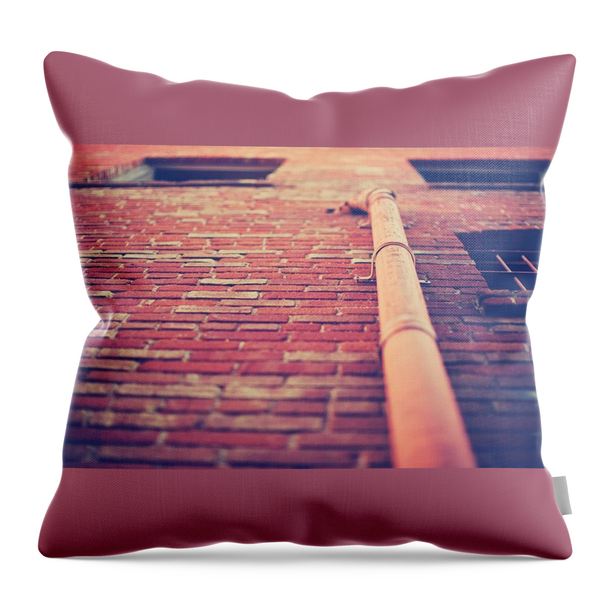 Building Throw Pillow featuring the photograph Building #37 by Mariel Mcmeeking