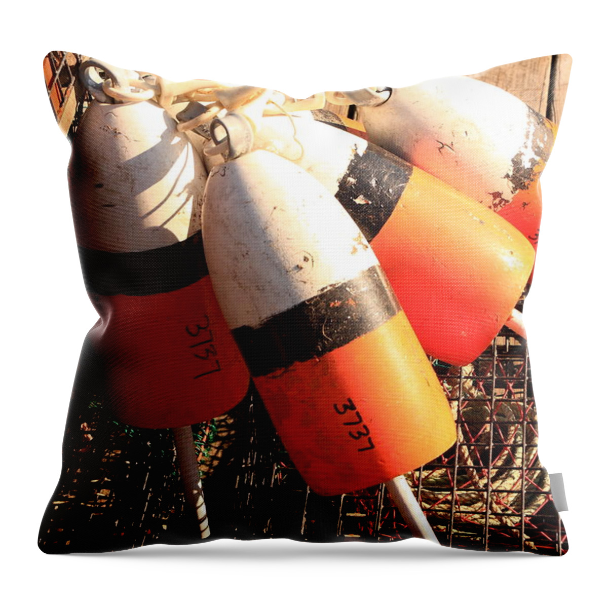 Seascape Throw Pillow featuring the photograph 3737 by Doug Mills