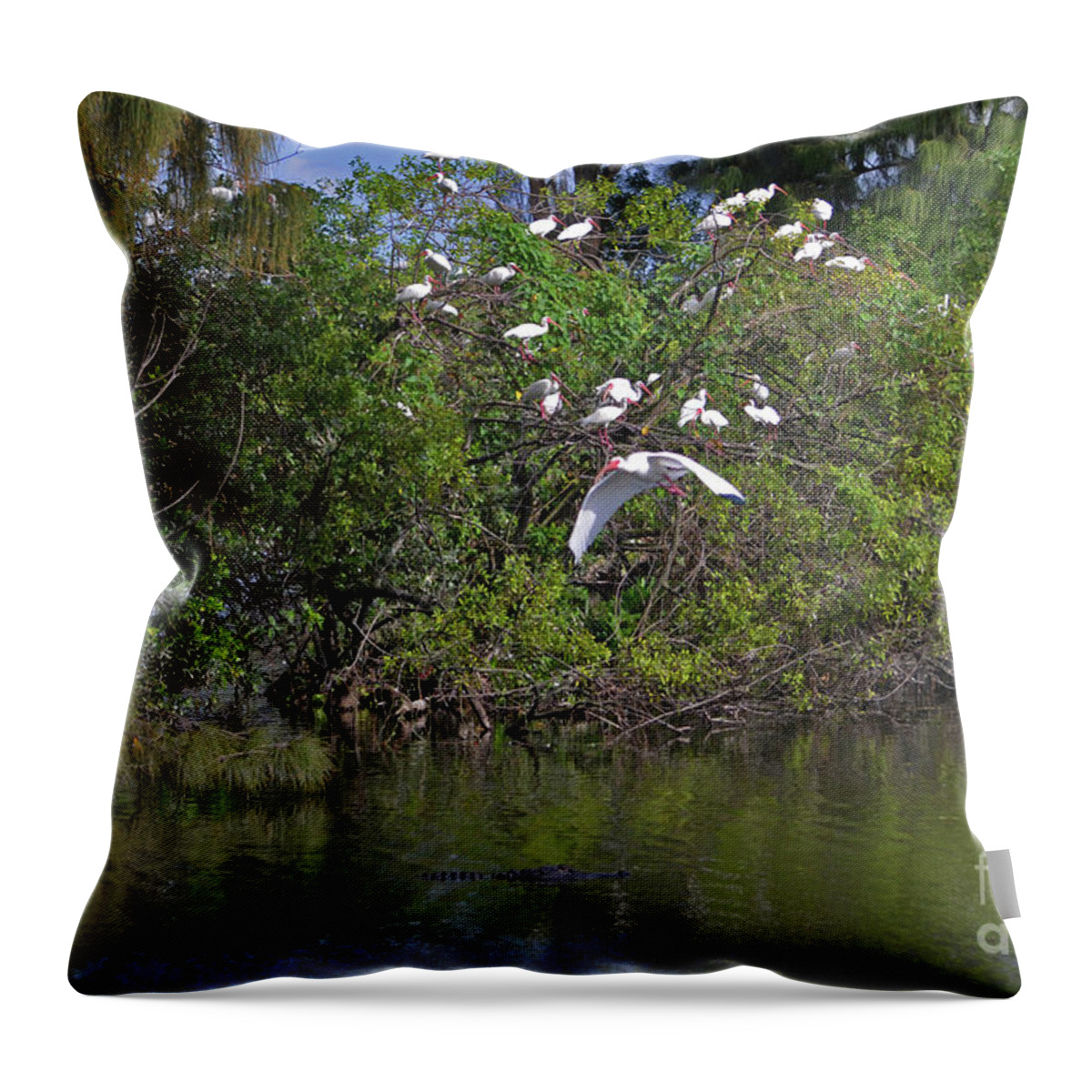  Ibis Throw Pillow featuring the photograph 38- Alligator and Ibis by Joseph Keane