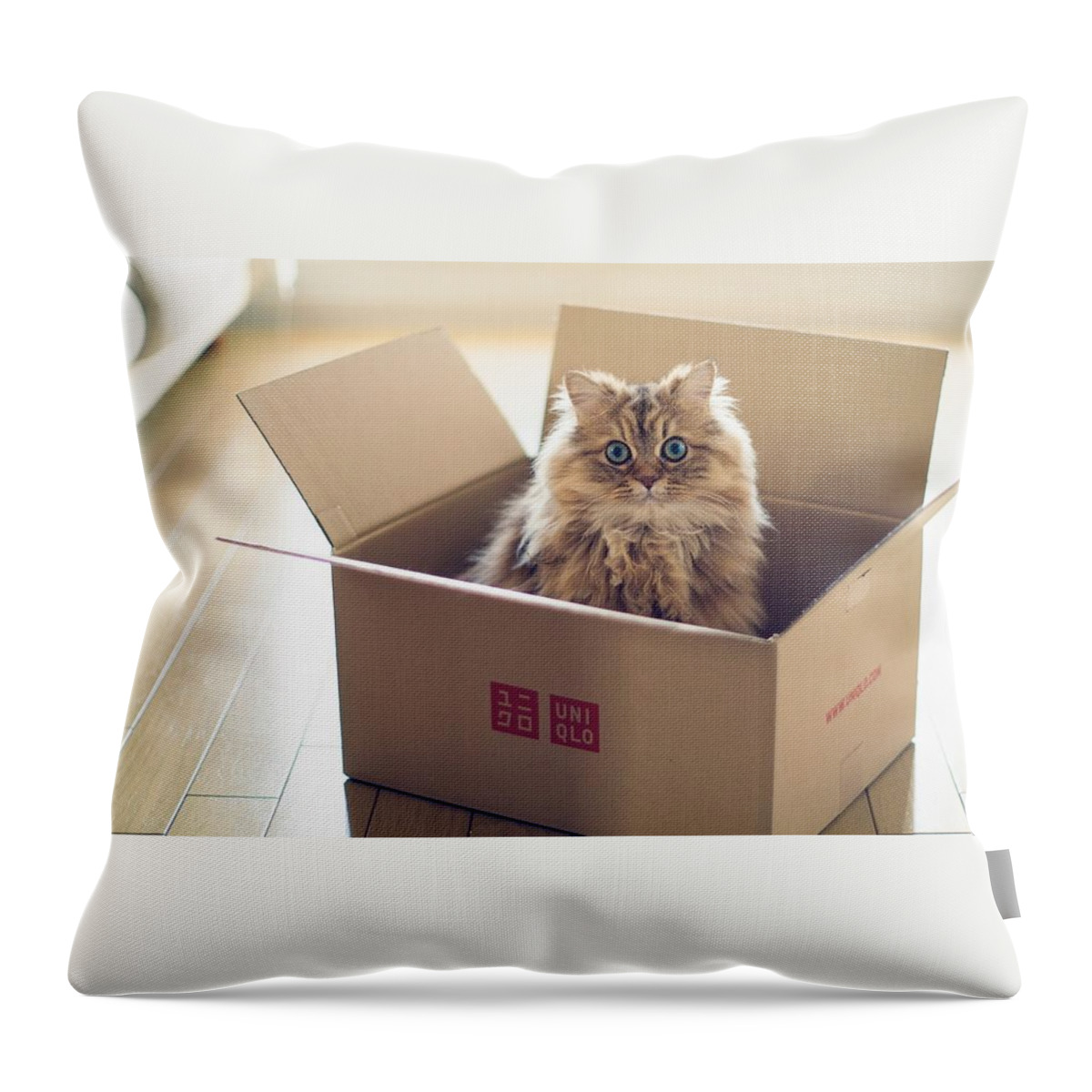 Cat Throw Pillow featuring the digital art Cat #38 by Super Lovely
