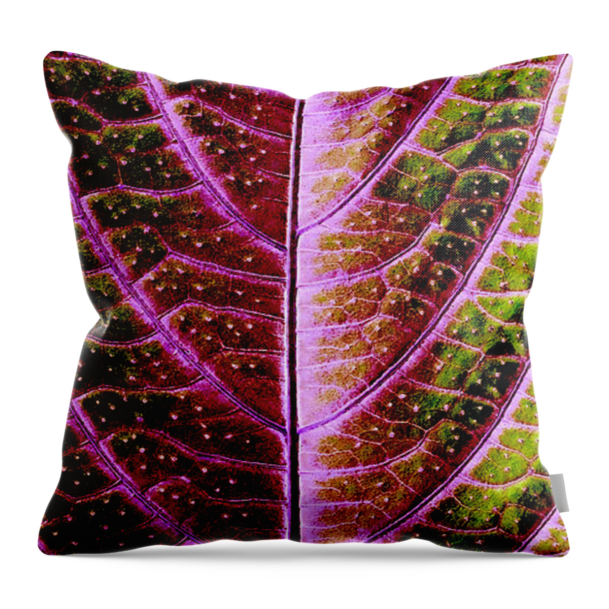 Abstract Throw Pillow featuring the photograph Abstract #4 by Tony Cordoza