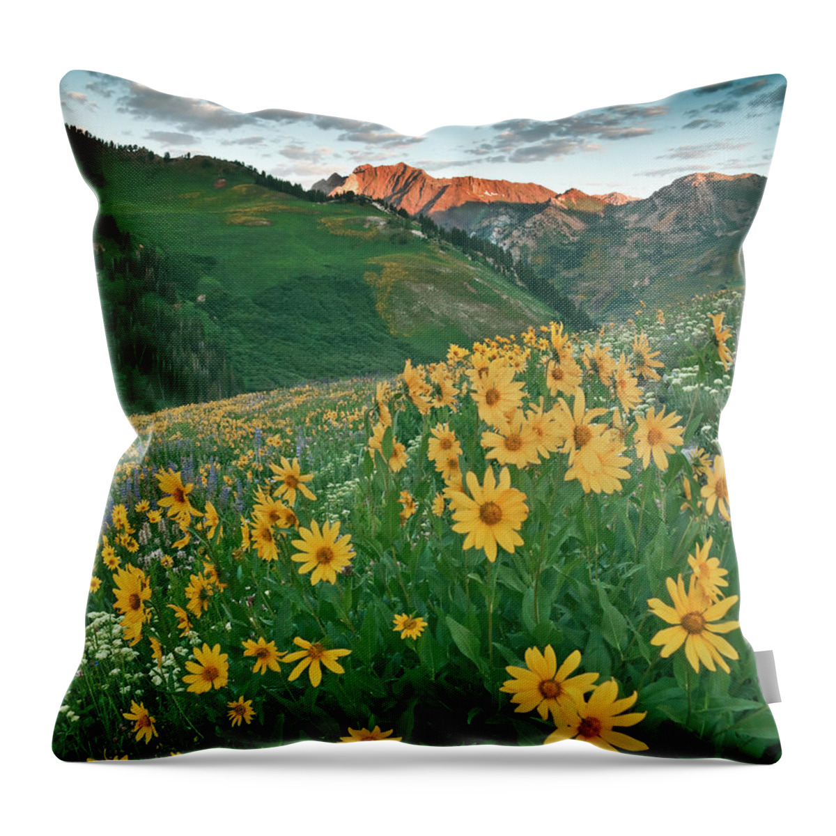 Albion Basin Throw Pillow featuring the photograph Albion Basin Wildflowers #4 by Douglas Pulsipher