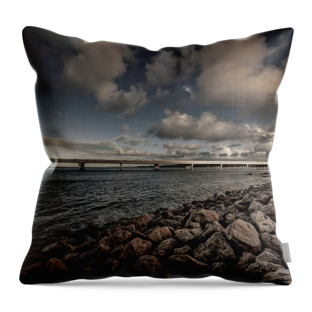 Amelia Island Throw Pillow featuring the photograph Amelia Island #4 by Peter Lakomy