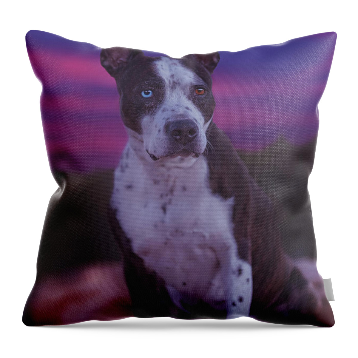 Animal Throw Pillow featuring the photograph Cleopitra #4 by Brian Cross