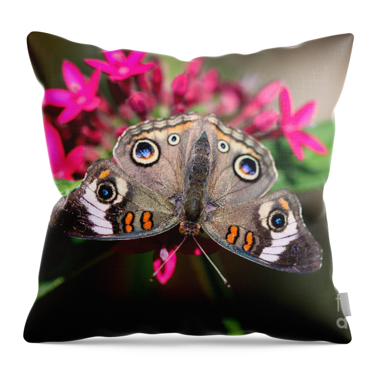 Butterfly Throw Pillow featuring the photograph Common Buckeye Junonia Coenia #4 by Henrik Lehnerer