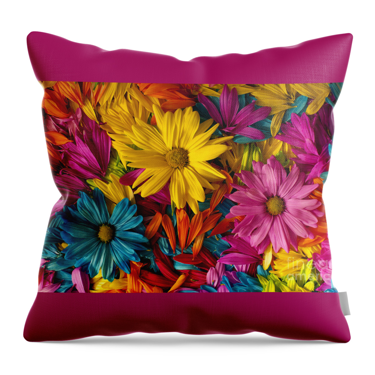 Abstract Throw Pillow featuring the photograph Daisies Petals #4 by Jim Corwin