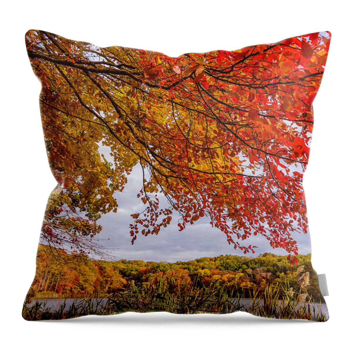 Park Throw Pillow featuring the photograph Fall foliage #4 by SAURAVphoto Online Store