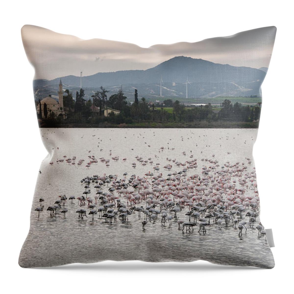 Flamingo Throw Pillow featuring the photograph Flamingo Birds #4 by Michalakis Ppalis