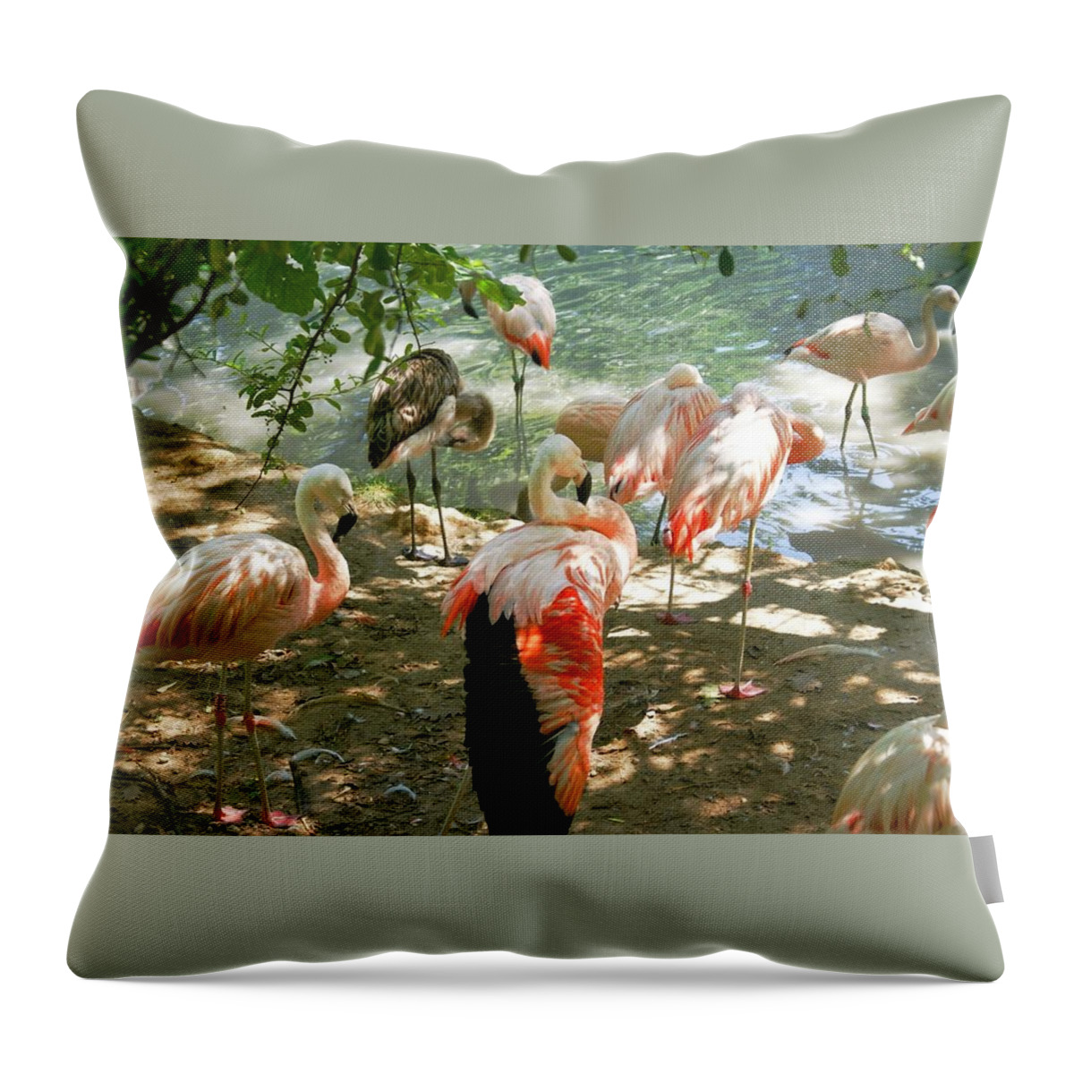 Flamingo Throw Pillow featuring the photograph Flamingo #4 by Jackie Russo