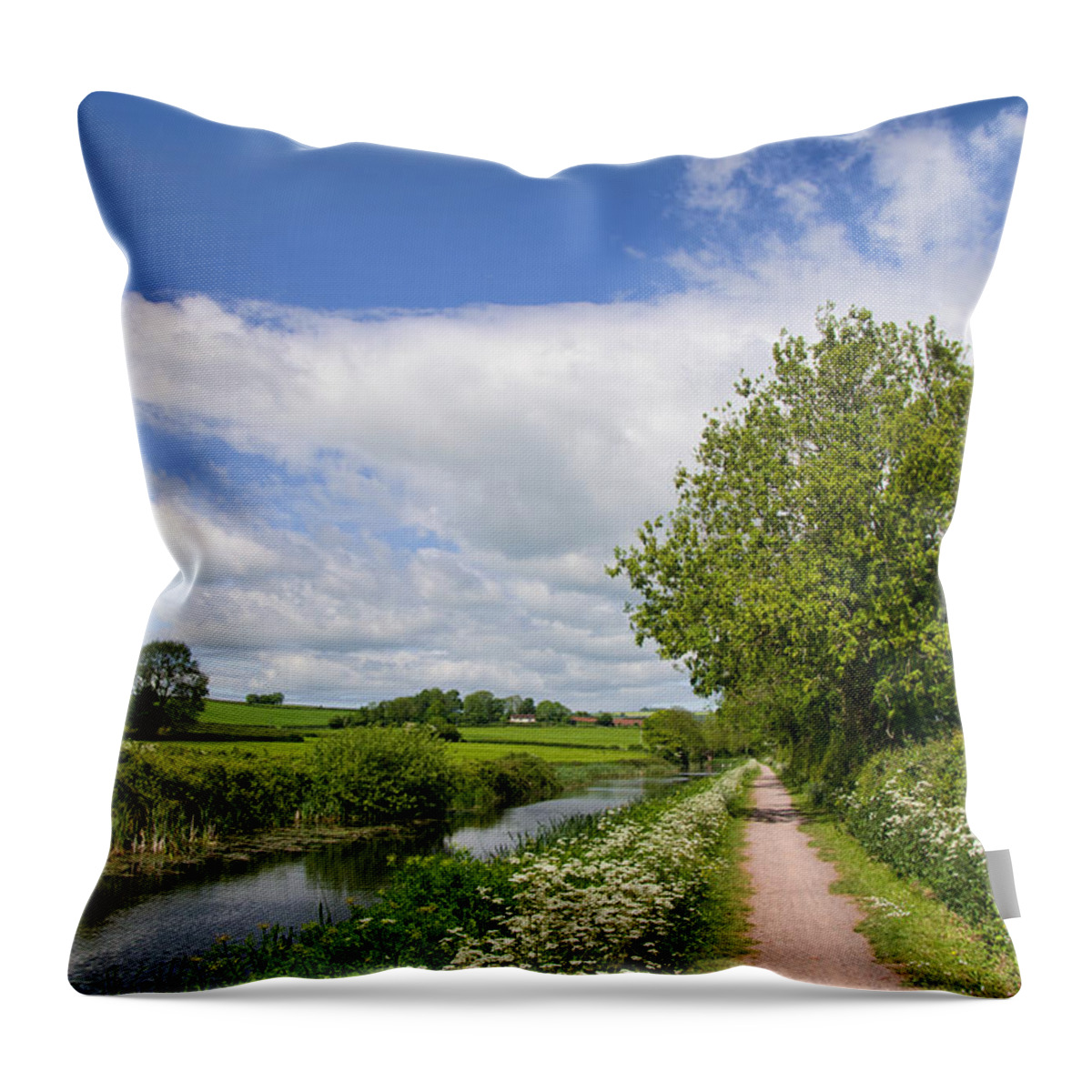 Tiverton Throw Pillow featuring the photograph Grand Western Canal #4 by Pete Hemington
