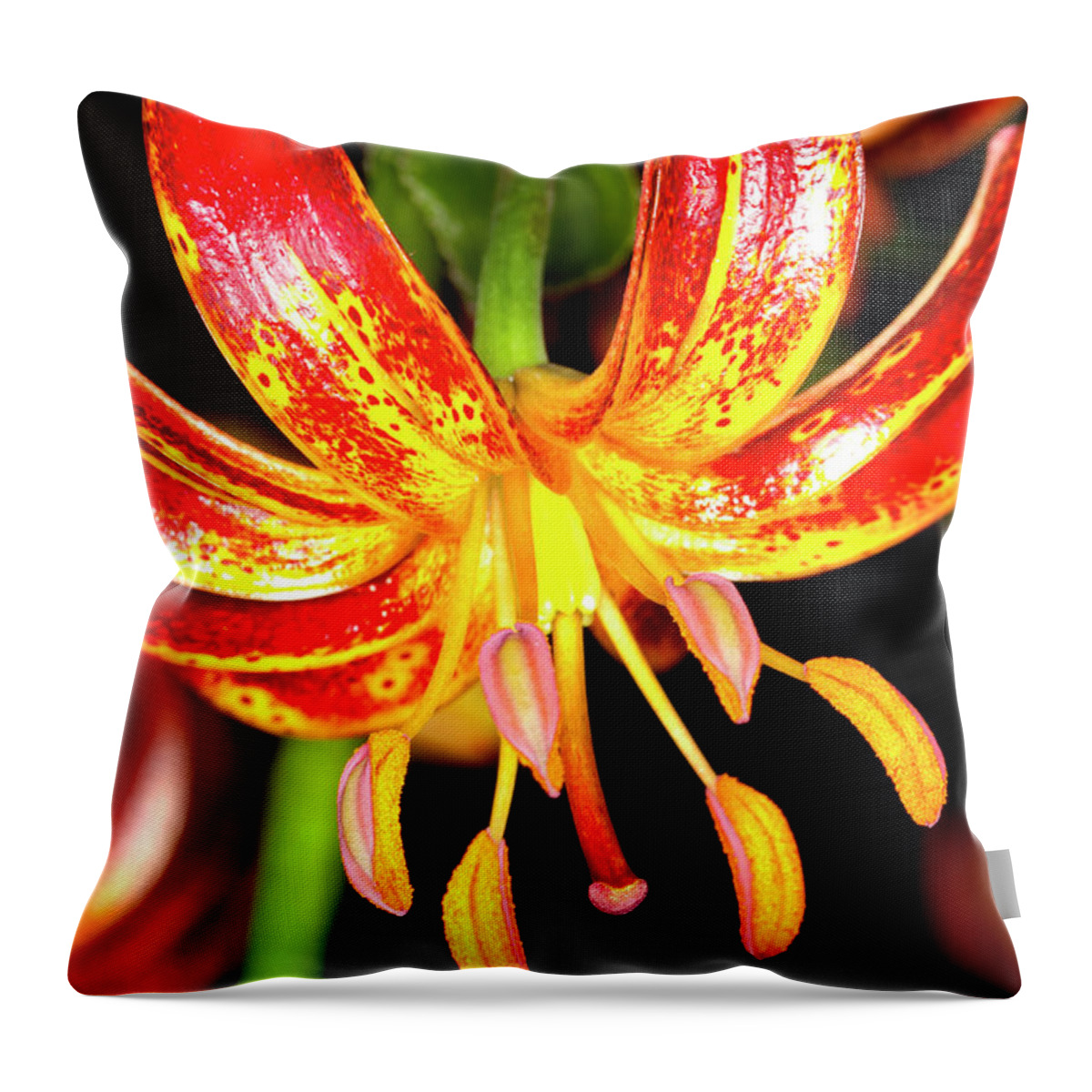 Martagon Lily Throw Pillow featuring the photograph Martagon Lily #4 by Anthony Totah