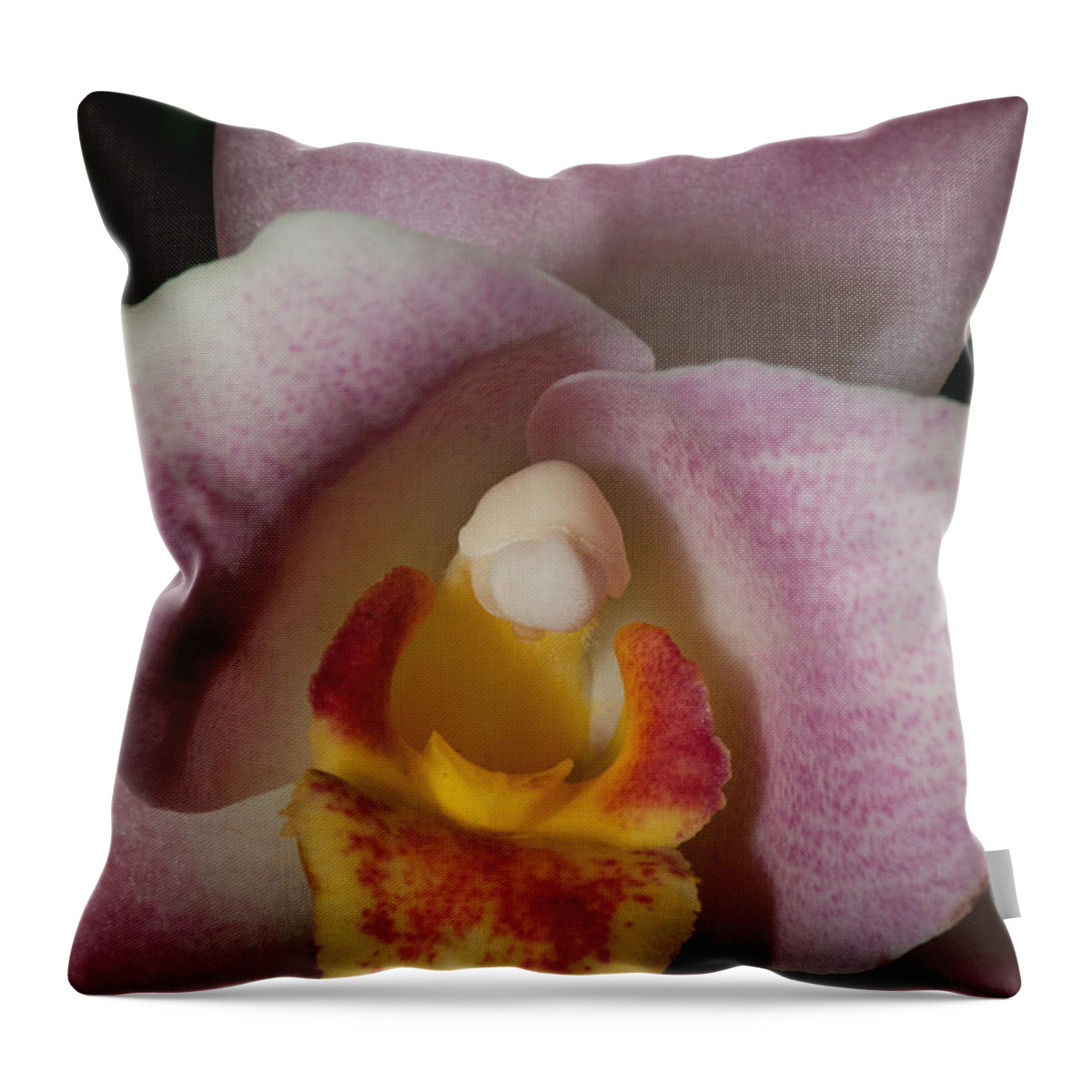 Flowers Throw Pillow featuring the digital art Moth Orchids #4 by Carol Ailles