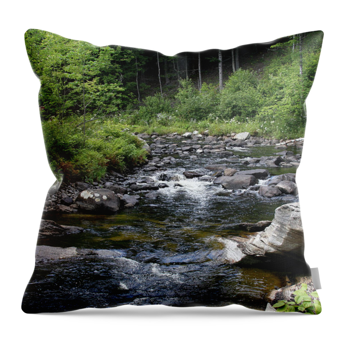 Pottersville Throw Pillow featuring the photograph Natural Stone Bridge and Caves Park #4 by Vadim Levin
