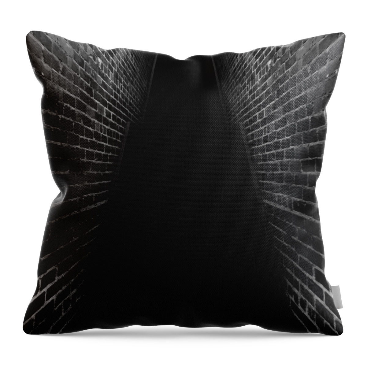  Throw Pillow featuring the New Upload #4 by Jenny Revitz Soper