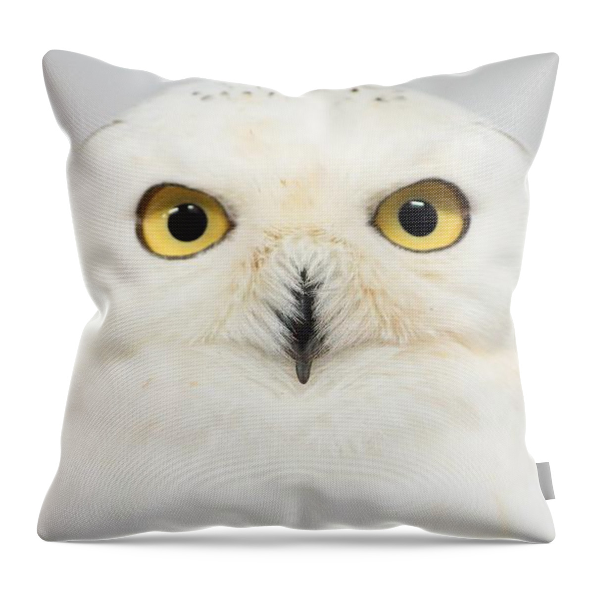 Kobe Animal Kingdom Throw Pillow featuring the photograph Owl #5 by Takaaki Yoshikawa