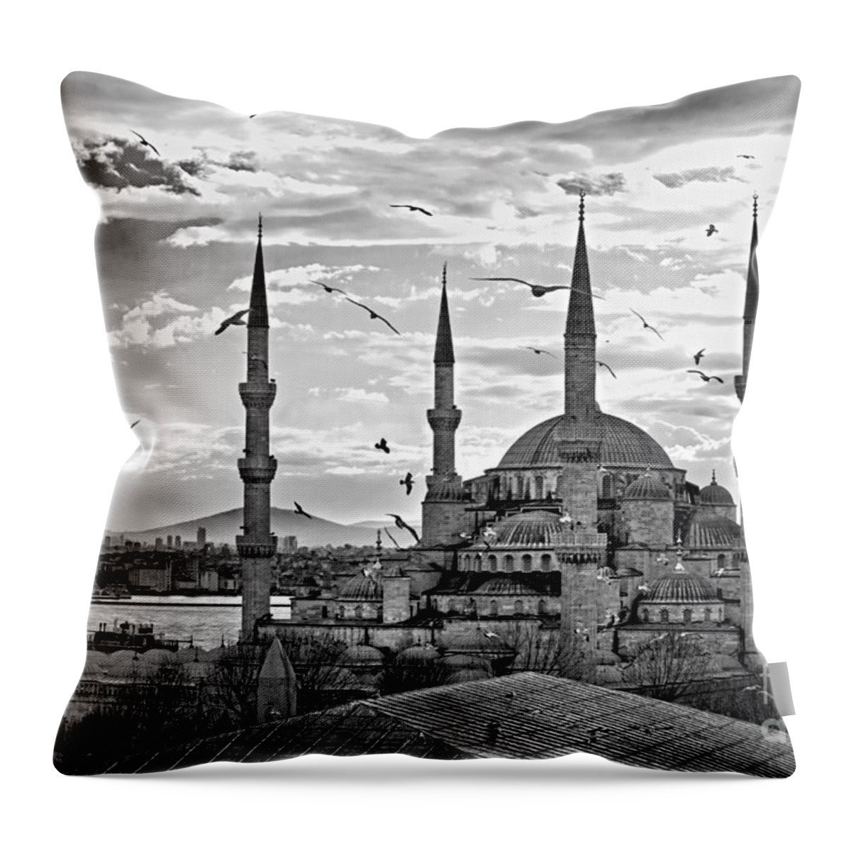 Arabic Throw Pillow featuring the photograph The Blue Mosque - Istanbul #4 by Luciano Mortula
