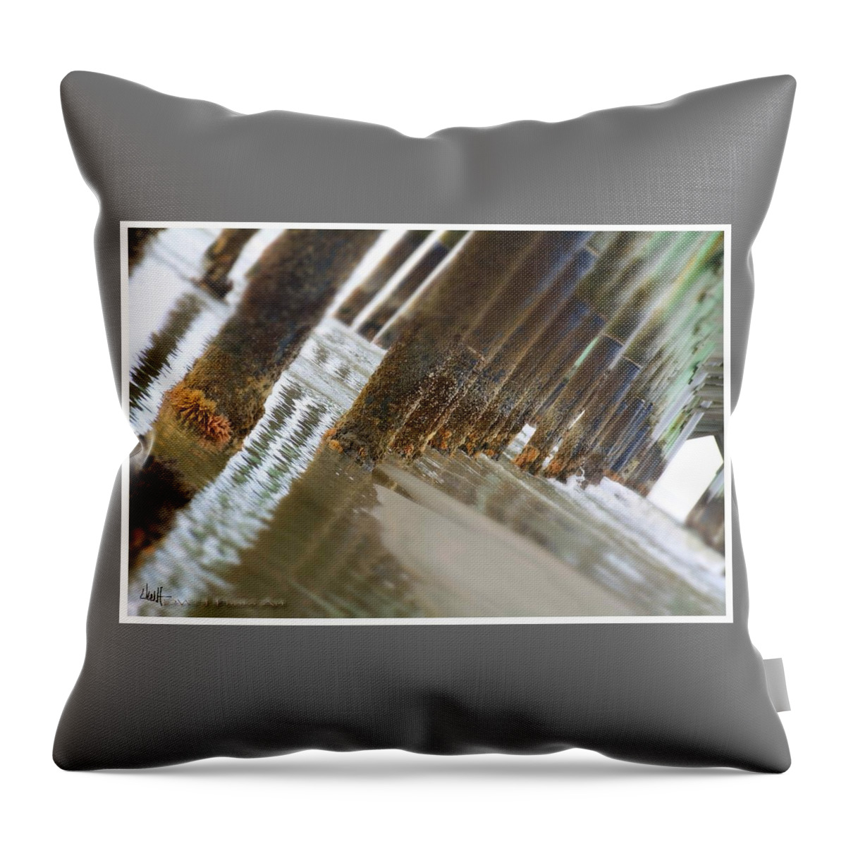 Waterscape Throw Pillow featuring the photograph The Pier by David Healey