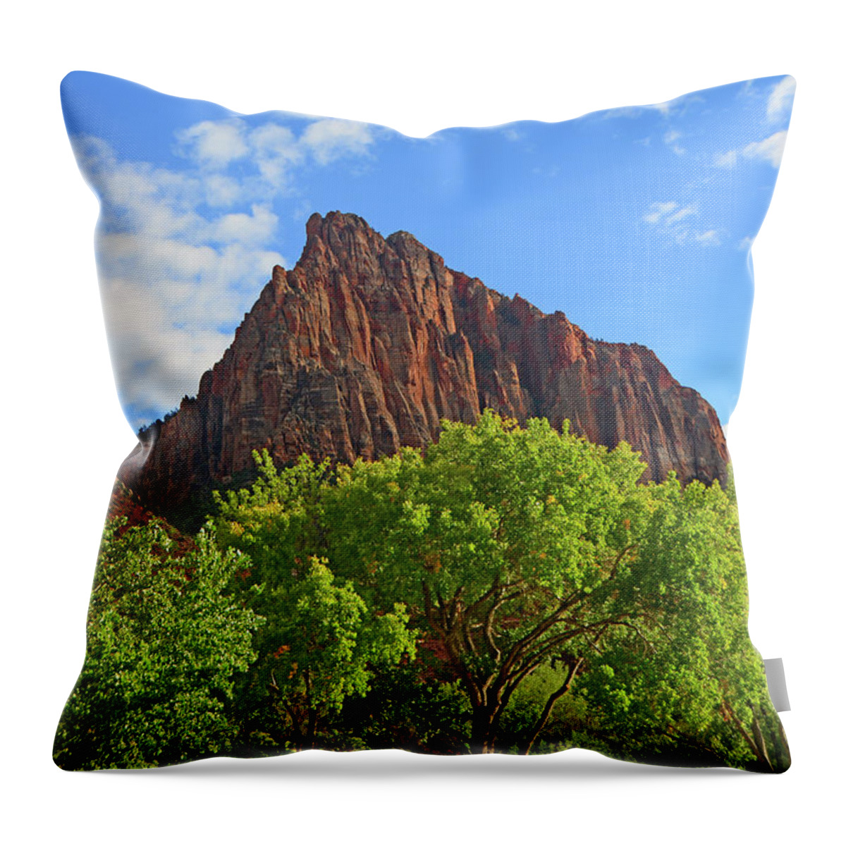 The Watchman Throw Pillow featuring the photograph The Watchman #4 by Raymond Salani III
