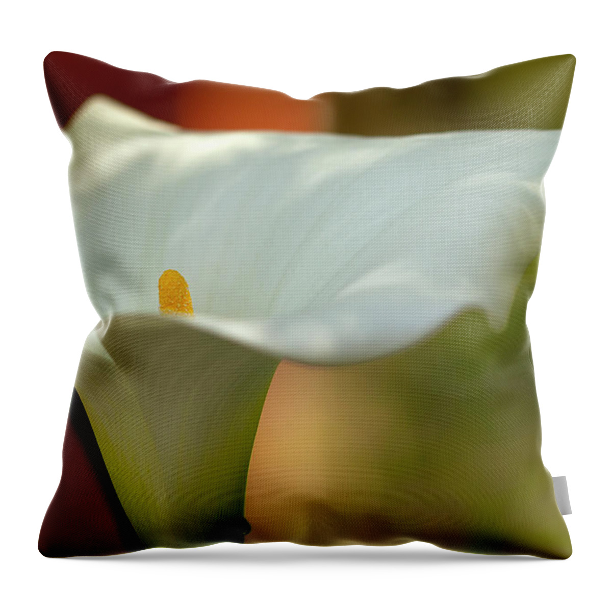 Calla Throw Pillow featuring the photograph White Calla #4 by Heiko Koehrer-Wagner