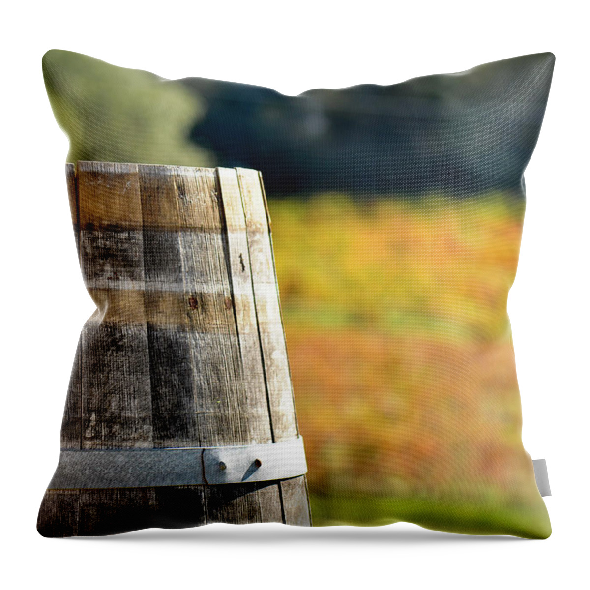 Beer Throw Pillow featuring the photograph Wine Barrel in Autumn #4 by Brandon Bourdages