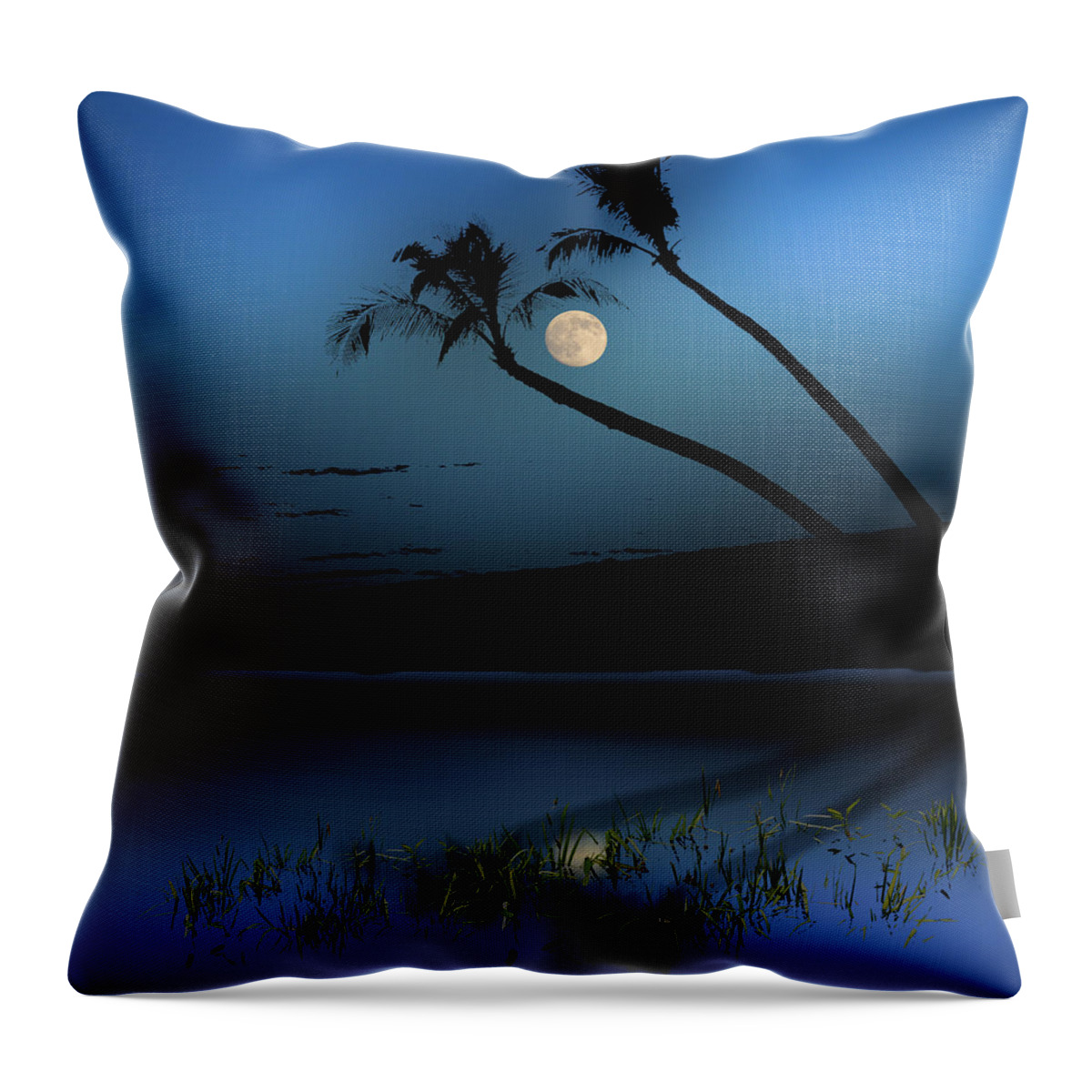 Palm Trees Throw Pillow featuring the photograph 4172 by Peter Holme III