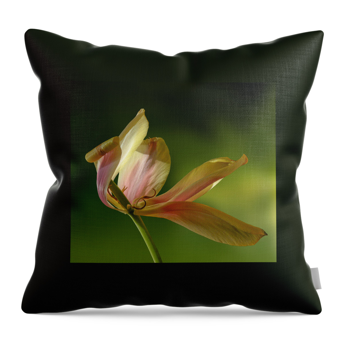 Flower Throw Pillow featuring the photograph 4188 by Peter Holme III